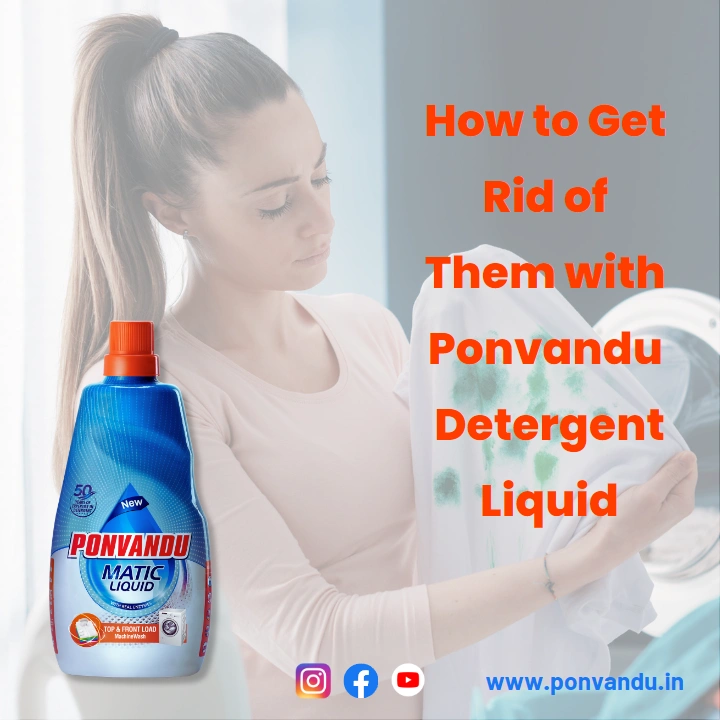 How to Get Rid of Them with Ponvandu Detergent Liquid